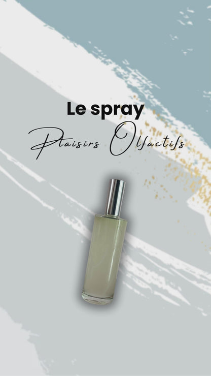 SPRAY D'AMBIANCE